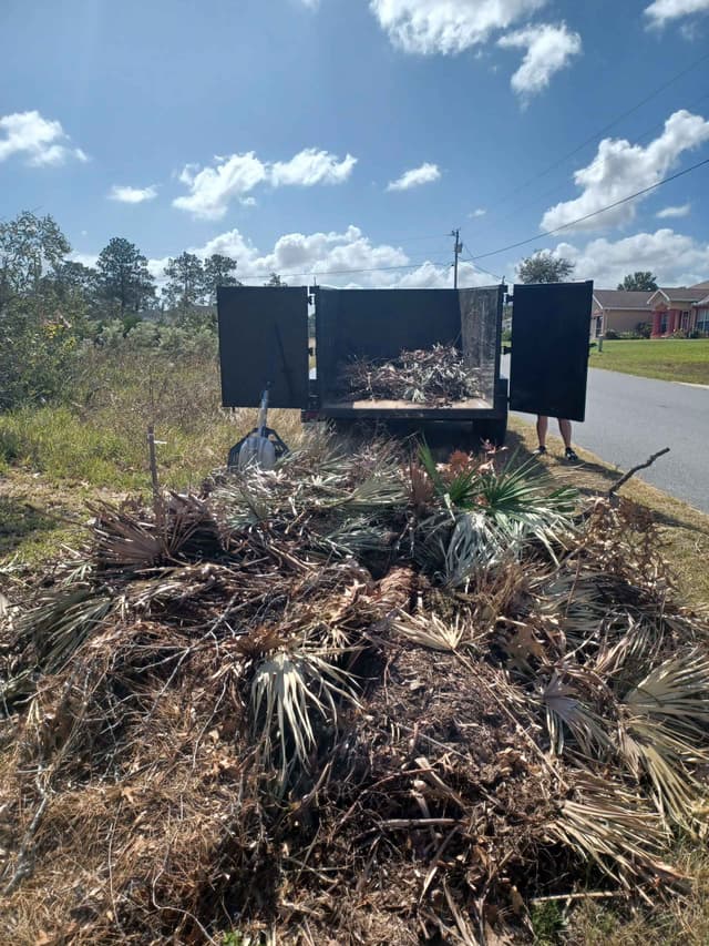 Dumpster being filled with branches and logs