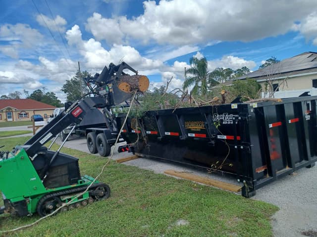 Dumpster being filled with branches and logs